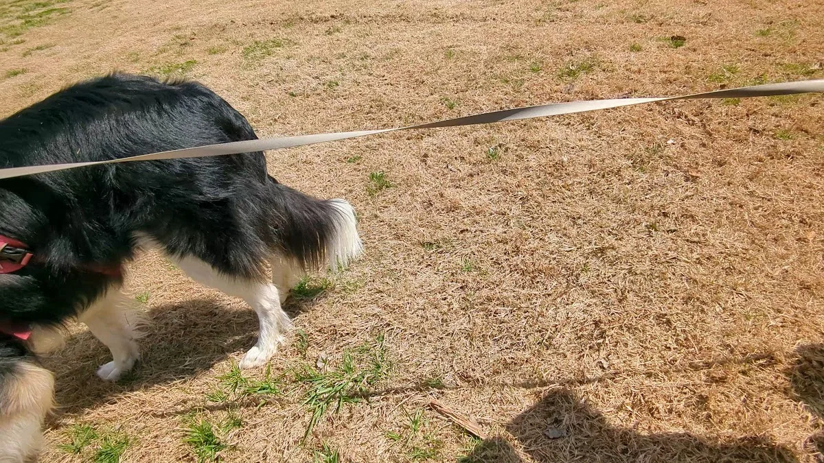 Red Rock Canyon Campground and Adventure Park