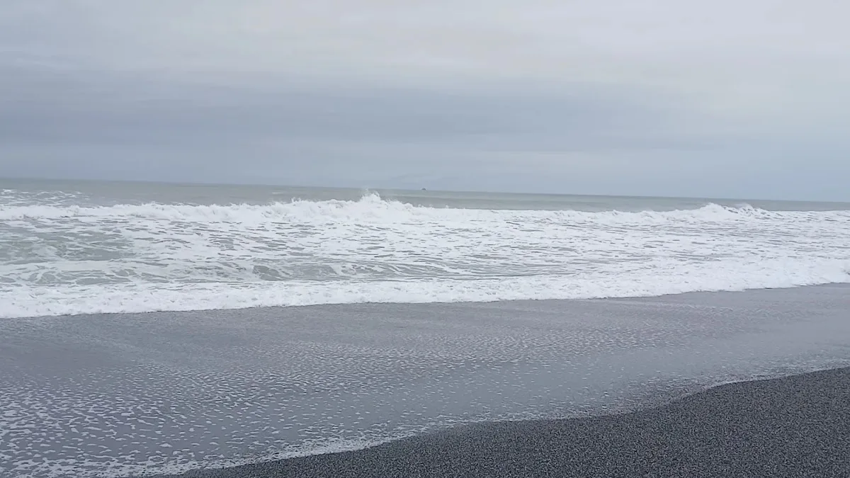 Redwood Creek Beach County Park