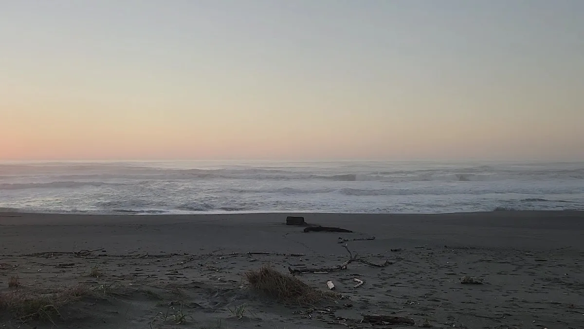 Redwood Creek Beach County Park