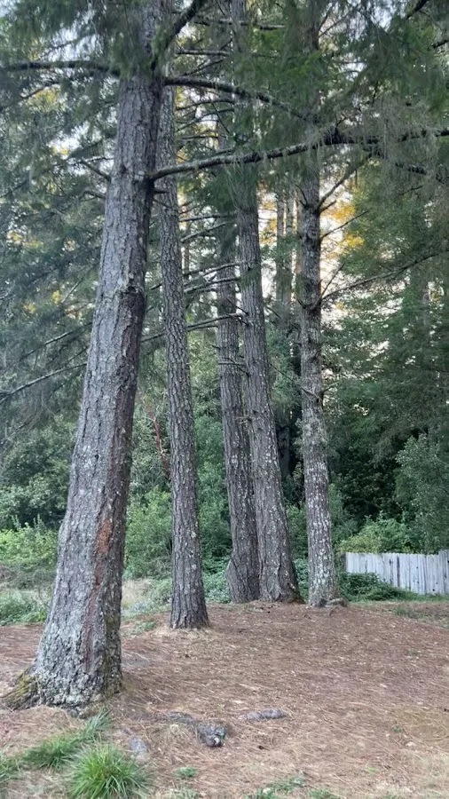 Redwood Meadows RV Resort