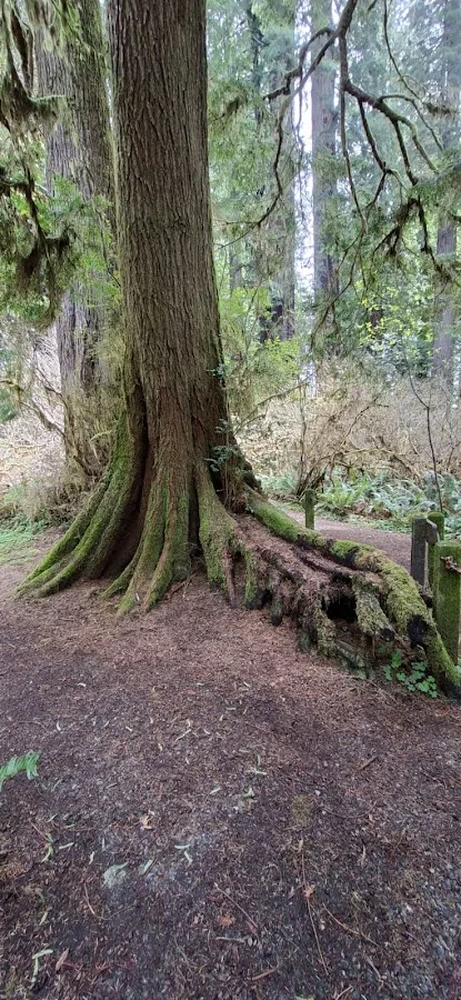 Redwood National and State Parks