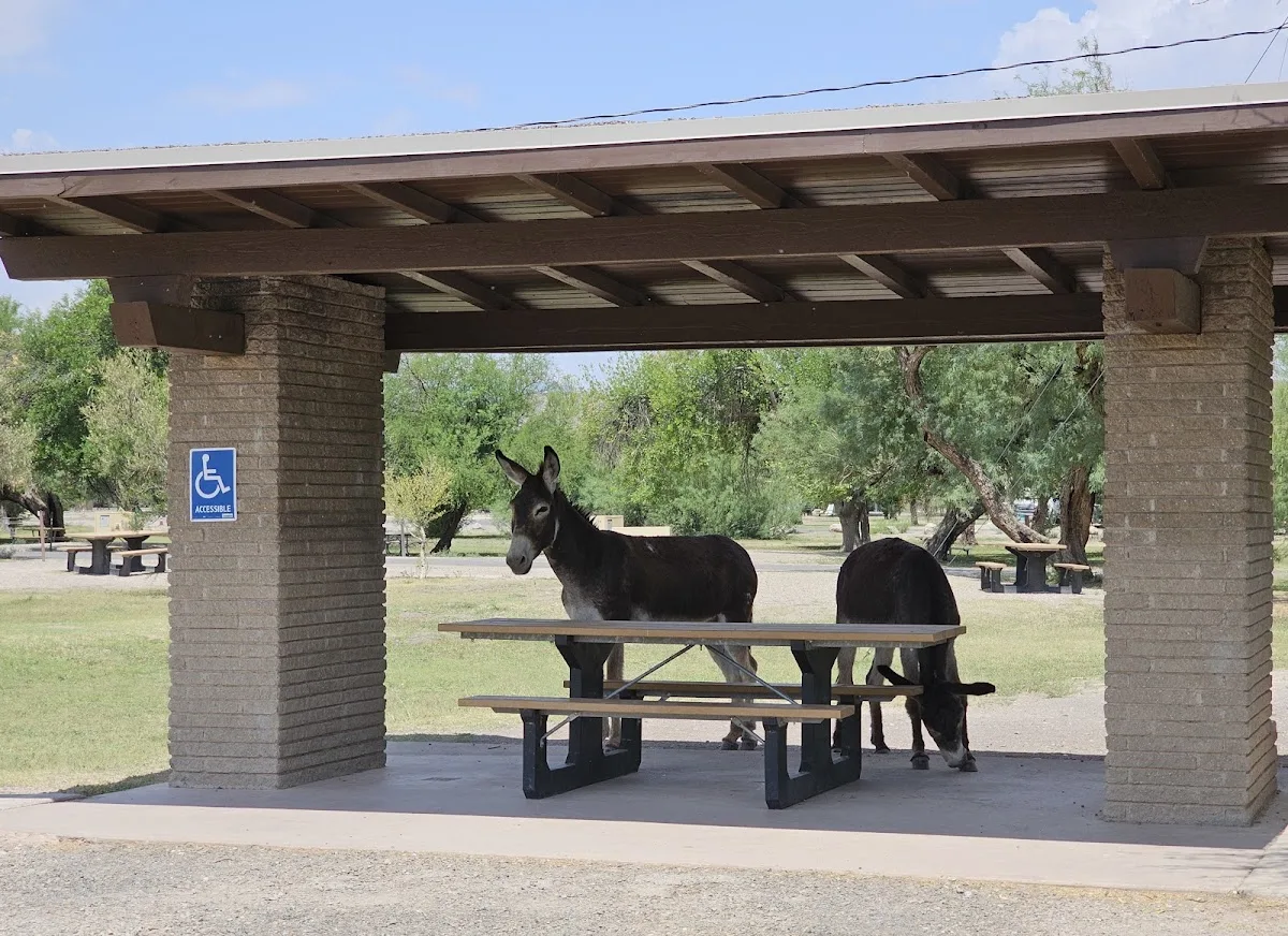 Rio Grande Village Campground