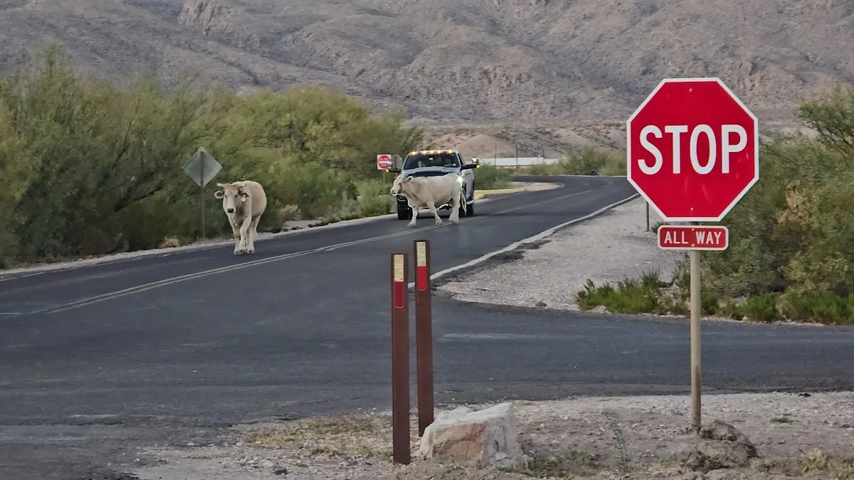 Rio Grande Village RV Campground