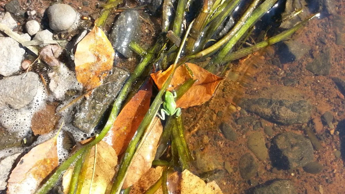 River Place Campground