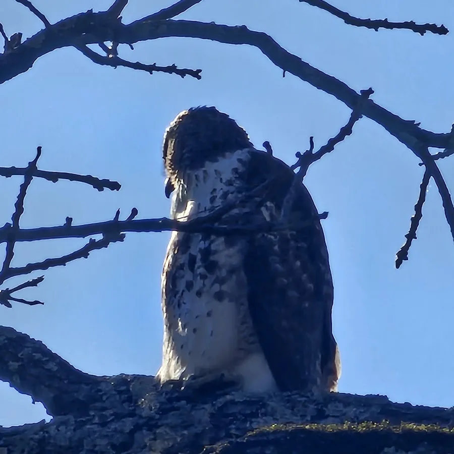 Rivers Edge Campground
