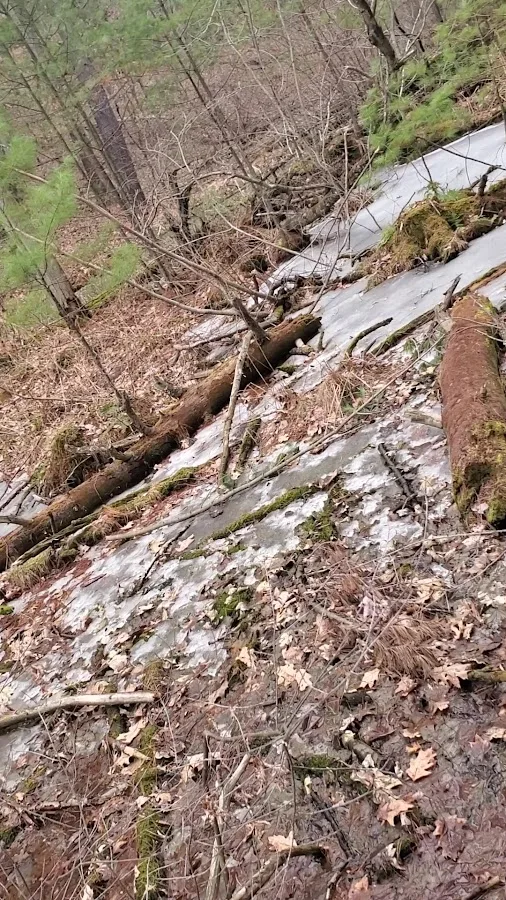 Rocky Arbor State Park