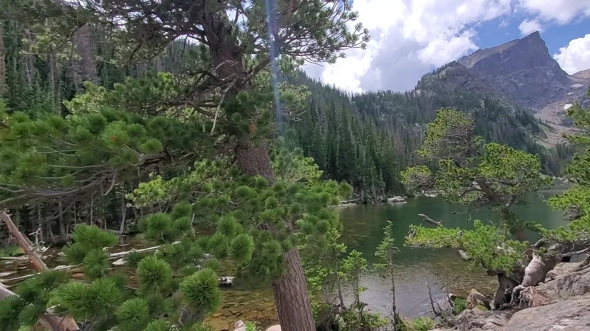 Rocky Mountain National Park