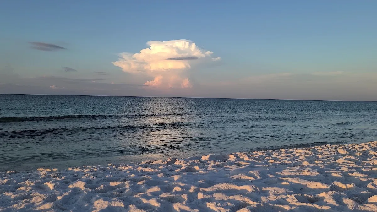 RV lot #14 and #16 by the Pool