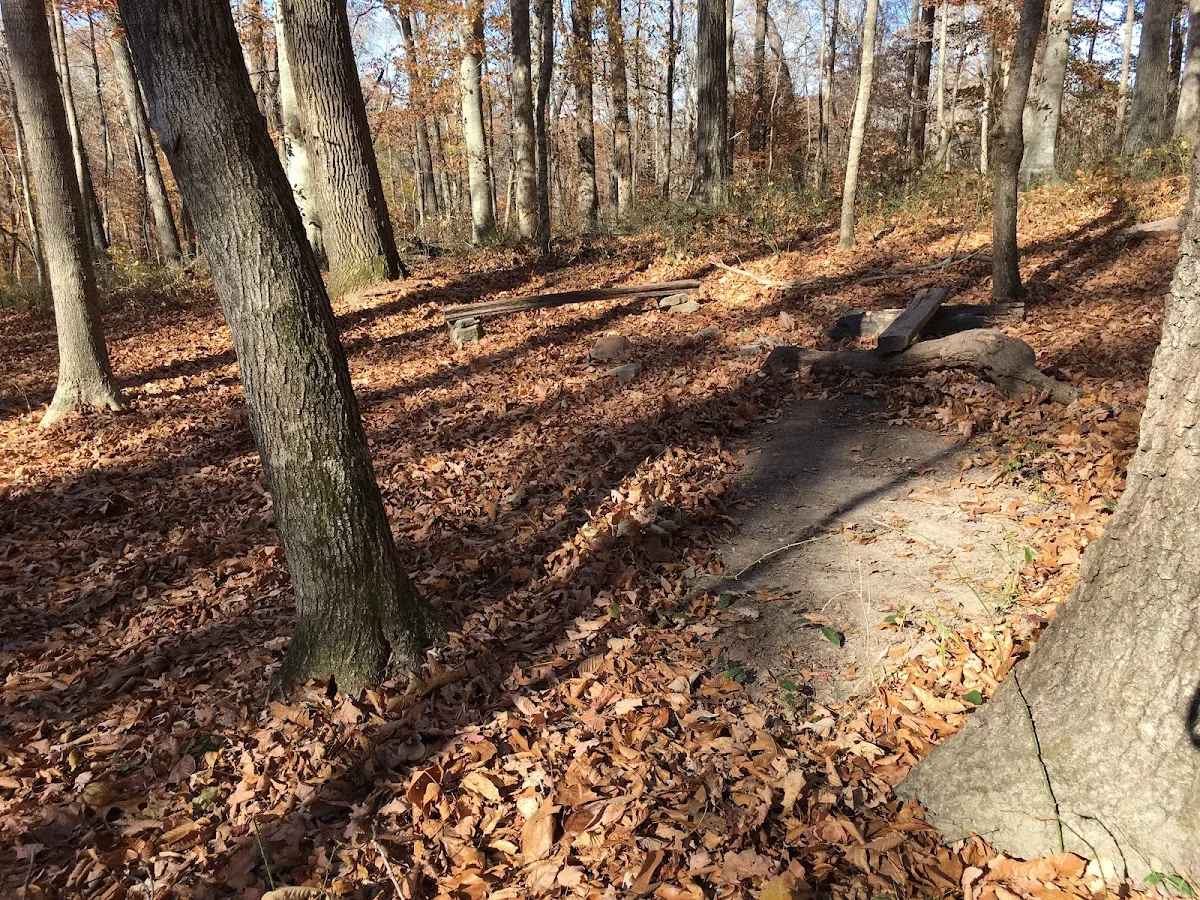 Sal Hollow Campground