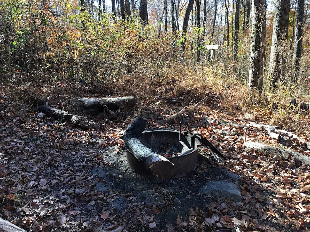 Sal Hollow Campground