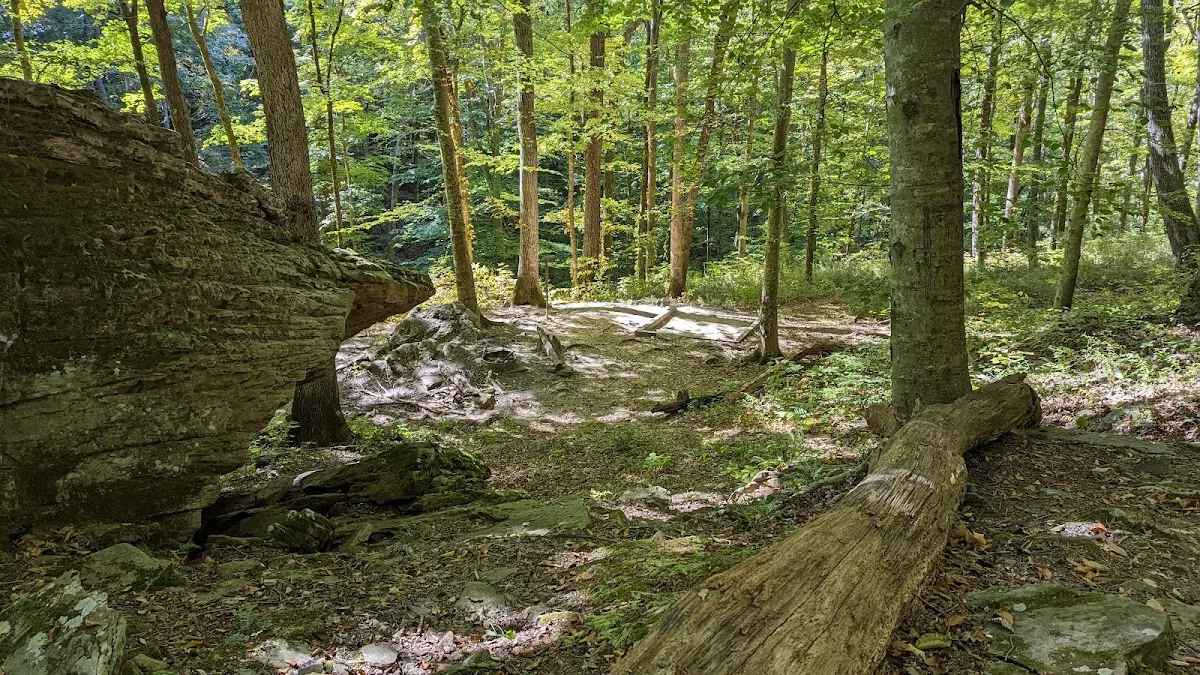 Sal Hollow Campground