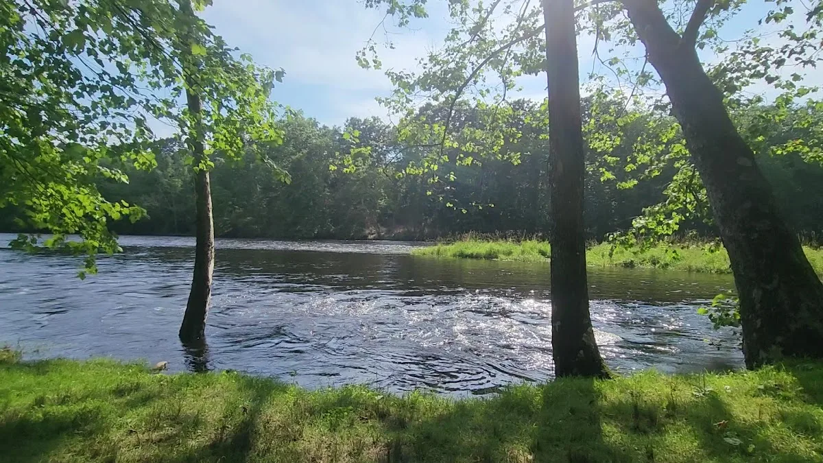 Salt Rock State Campground