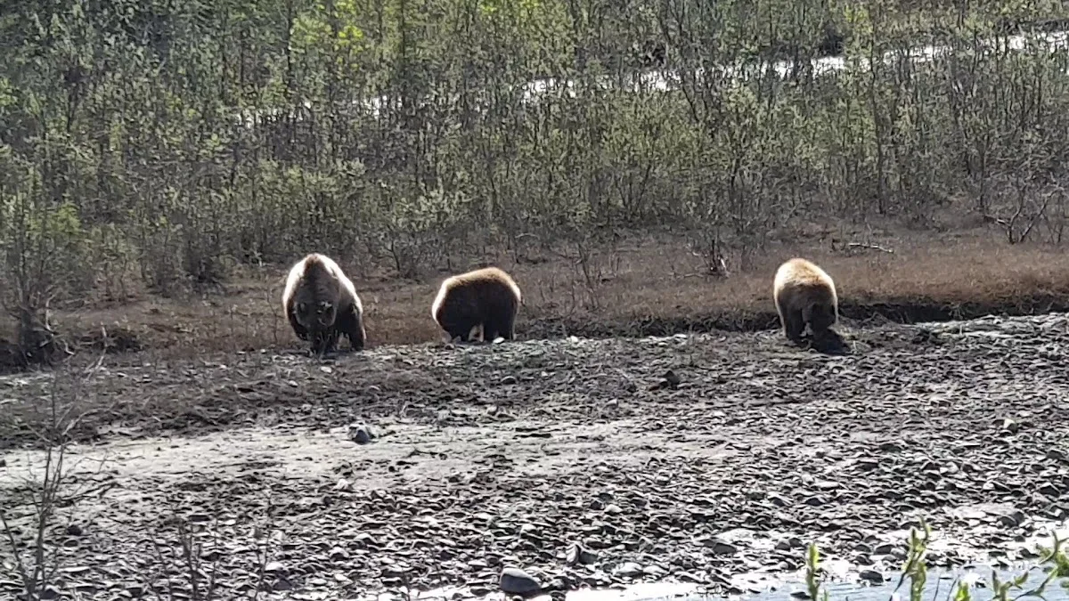 Sanctuary River Campground
