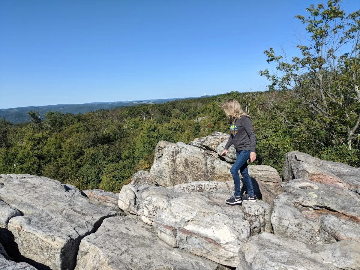 Savage River State Forest Headquarters