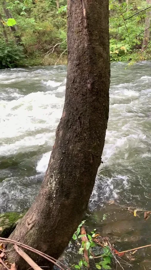 Savage River State Forest Headquarters