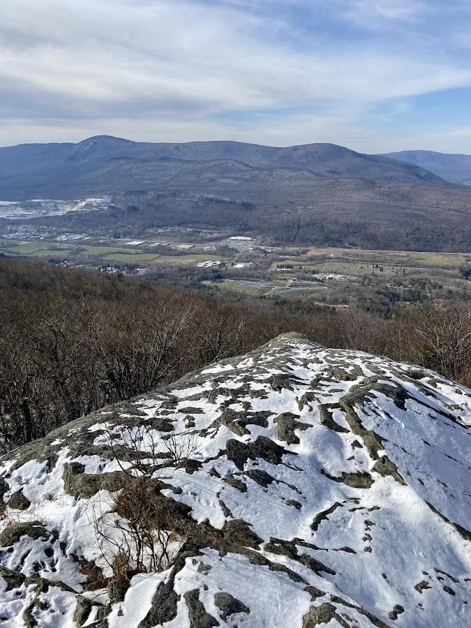 Savoy Mountain State Forest