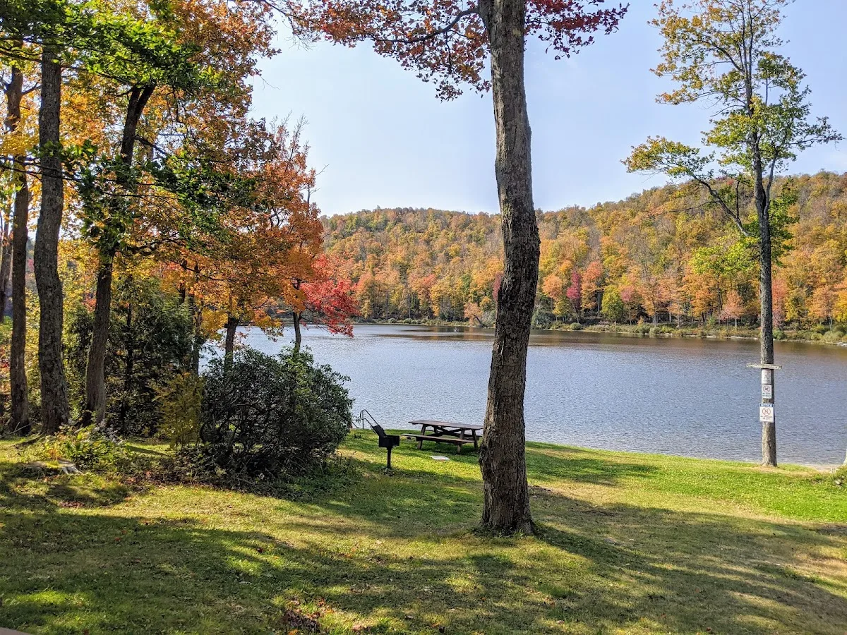Savoy Mountain State Forest