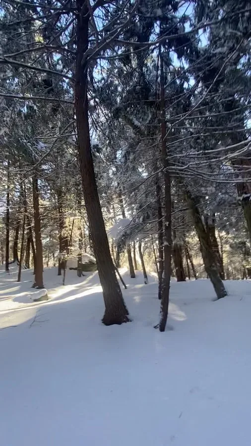 Savoy Mountain State Forest Campground