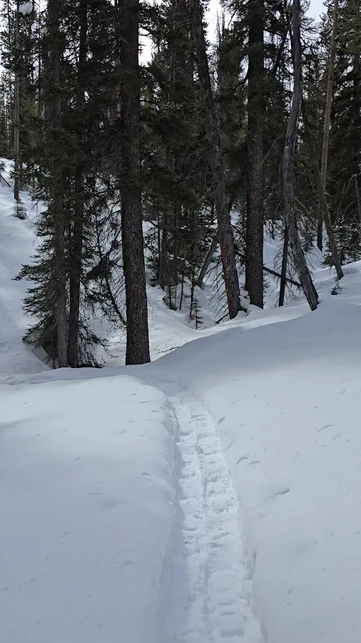 Sawtooth National Forest