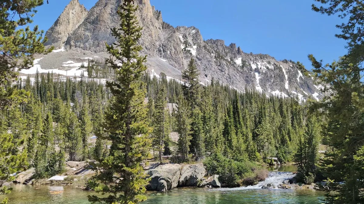 Sawtooth National Forest