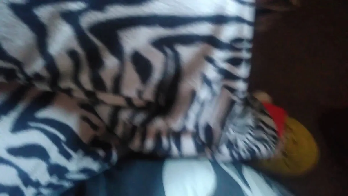 Scusset Beach Campground