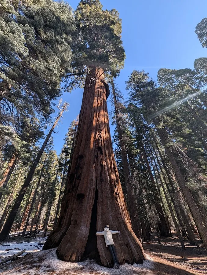 Sequoia & Kings Canyon National Parks