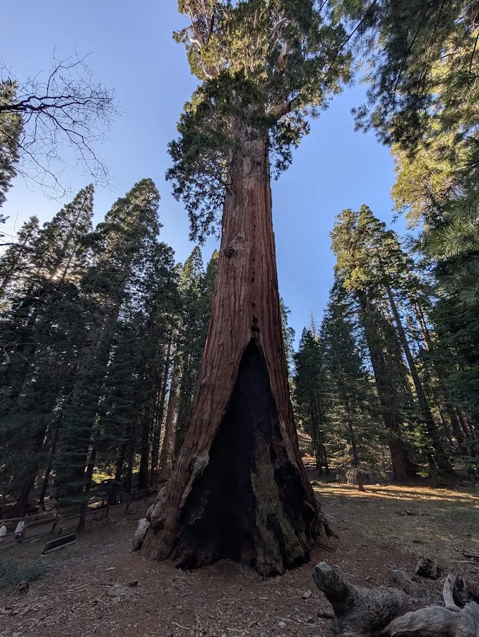 Sequoia & Kings Canyon National Parks