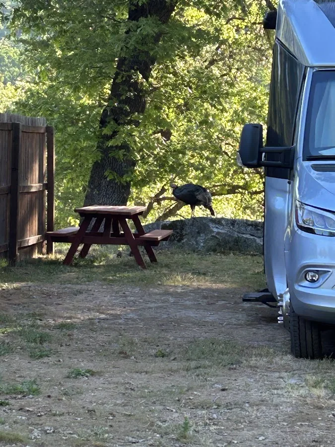 Sequoia Resort & RV Park