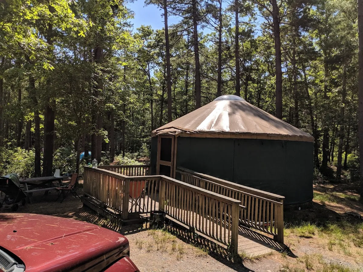 Shawme-Crowell State Forest