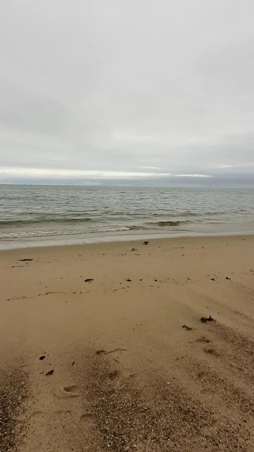 Shawme-Crowell State Forest