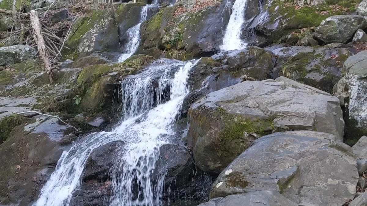 Shenandoah National Park