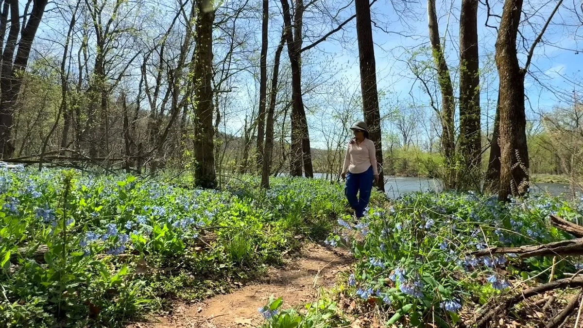 Shenandoah River State Park