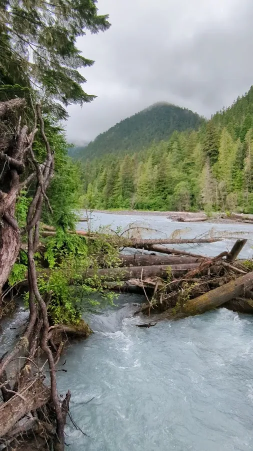 Silver Springs Campground