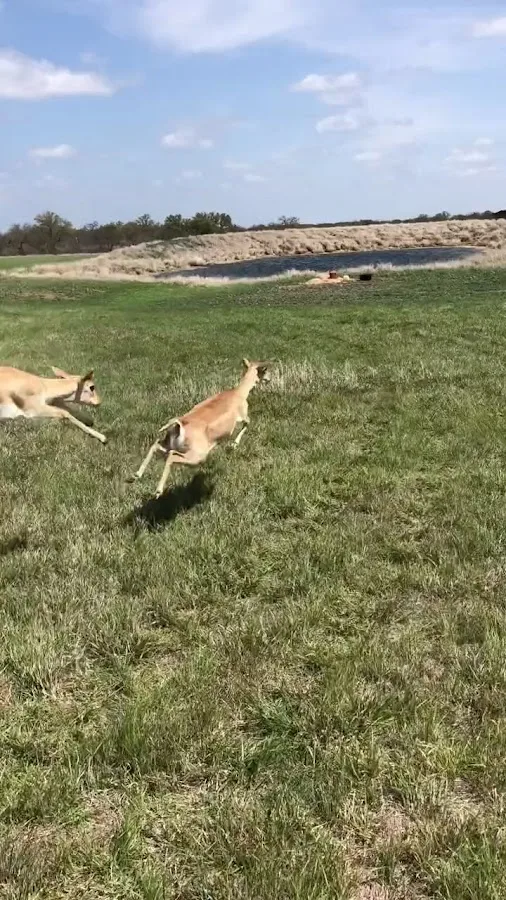 SKYE Texas Hill Country Resort