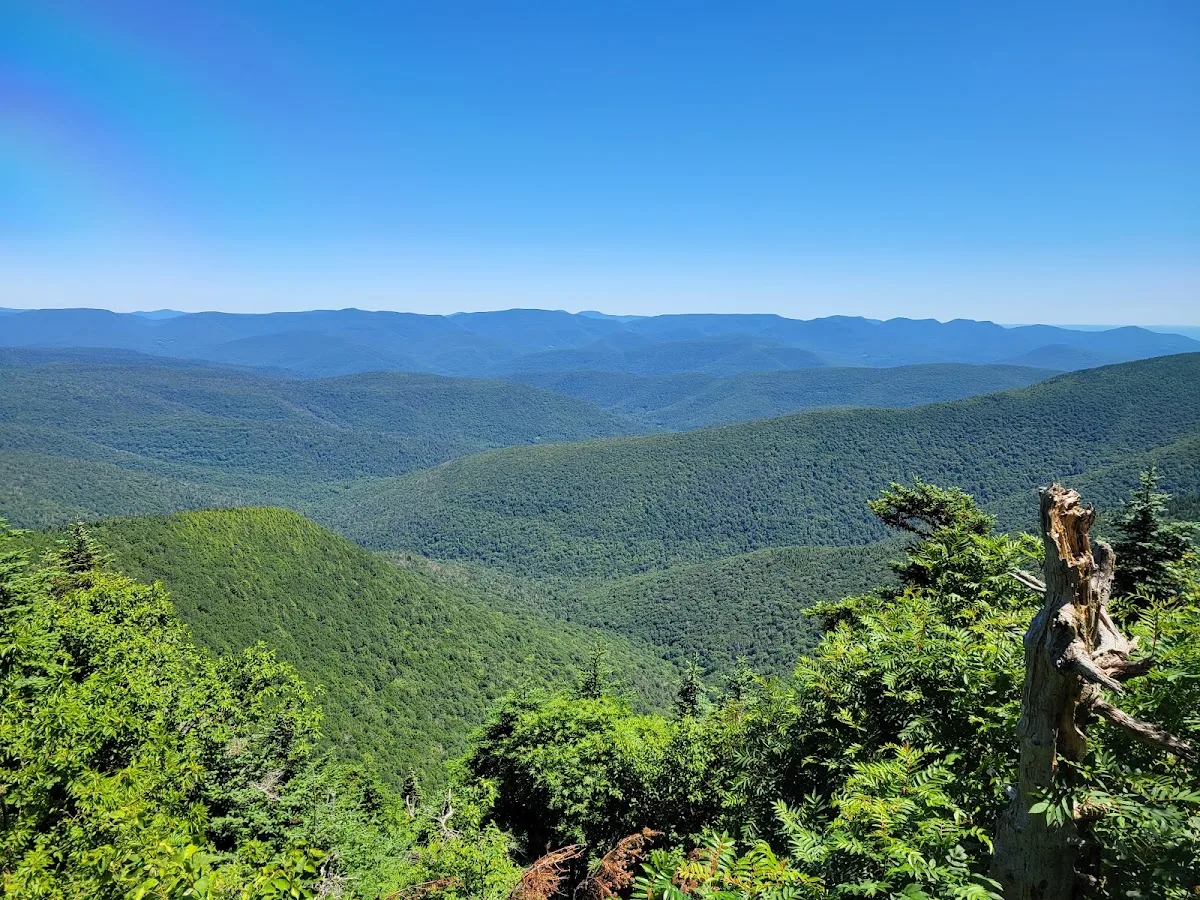 Slide Mountain Wilderness