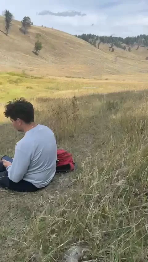 Slough Creek Campground