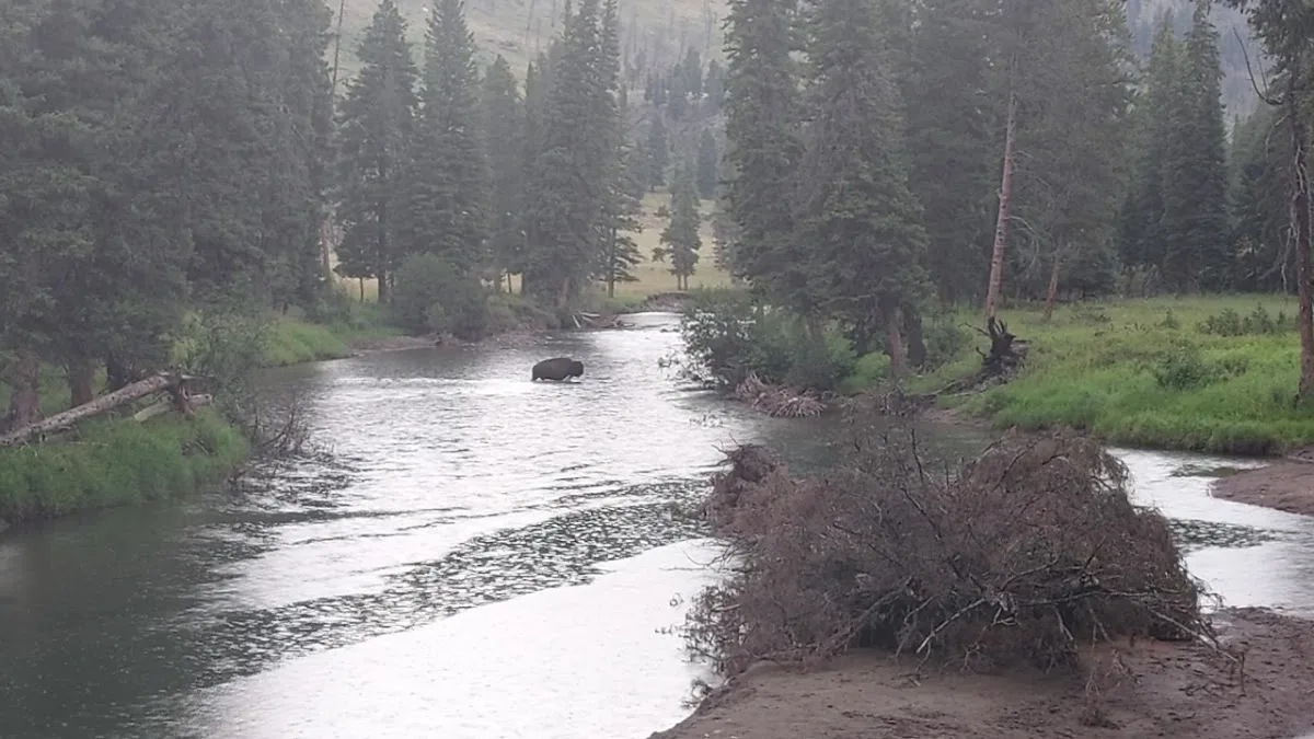 Slough Creek Campground