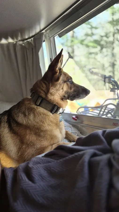 Smokemont Campground