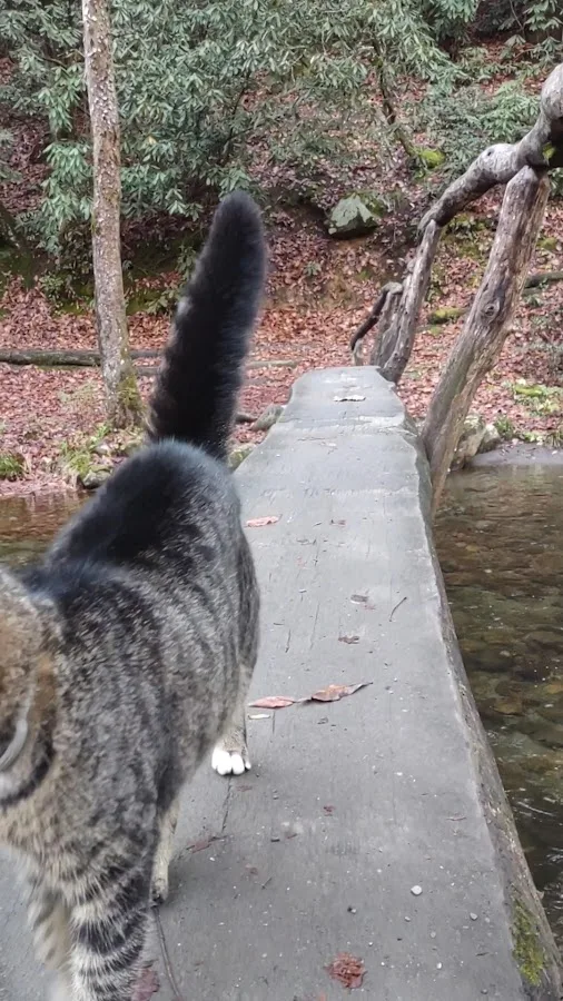 Smokemont Campground