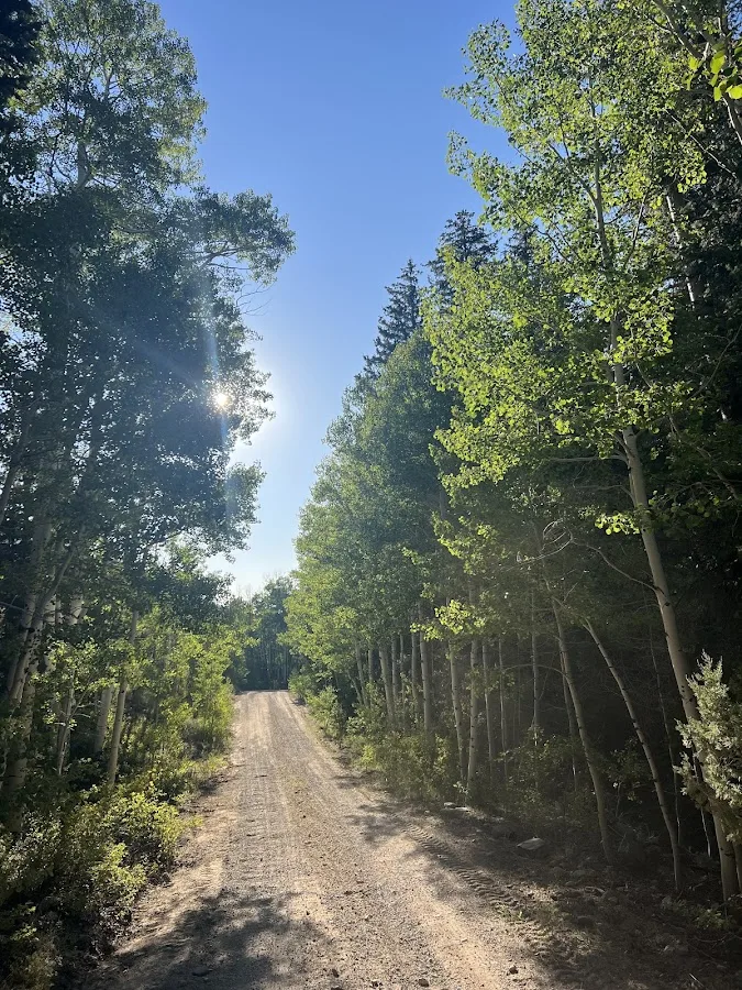 Snake Creek Primitive Campgrounds