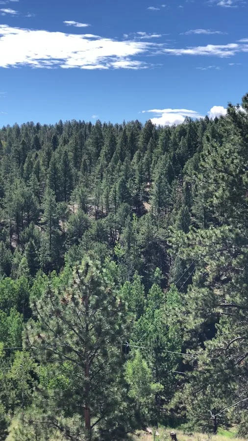 Springdale Campground