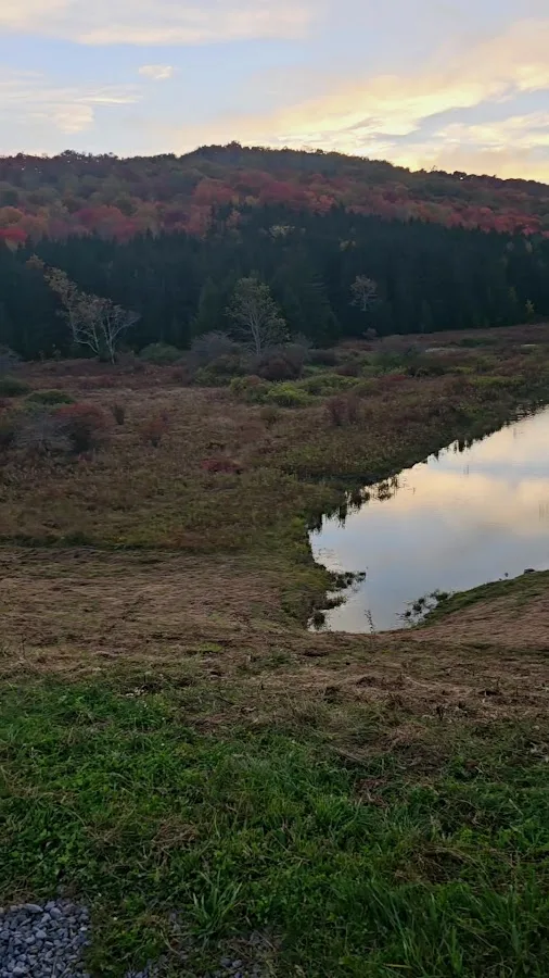 Spruce Knob Lake Campground