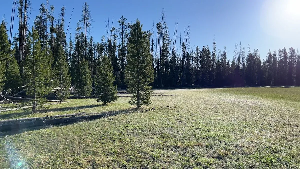 Stanley Lake Campground