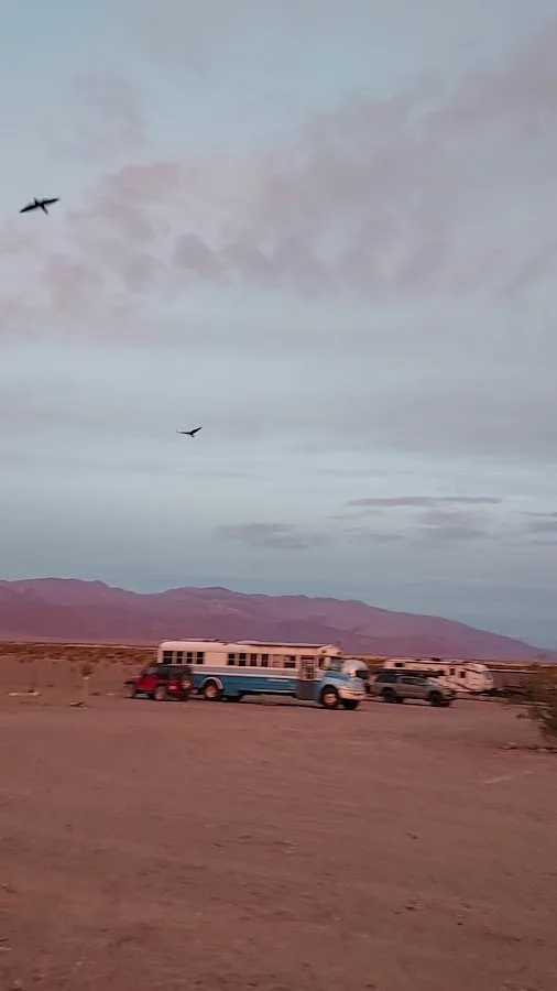 Stovepipe Wells Campground
