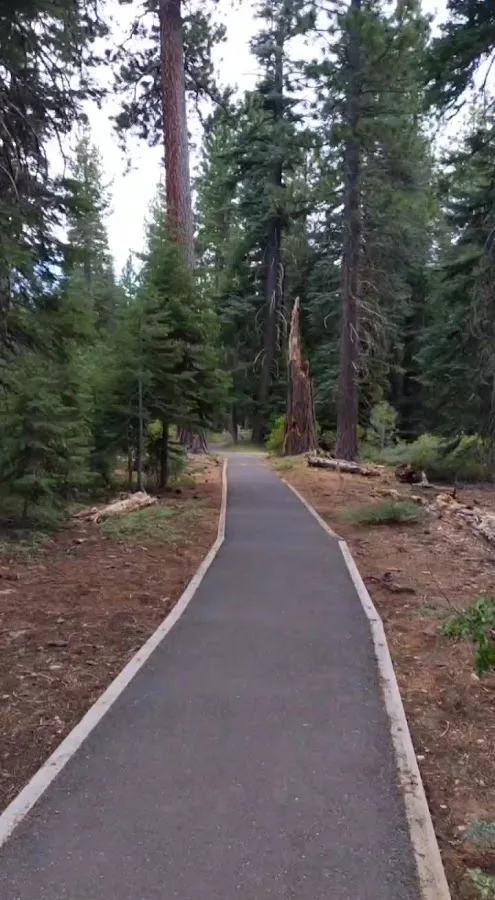 Sugar Pine Point Campground