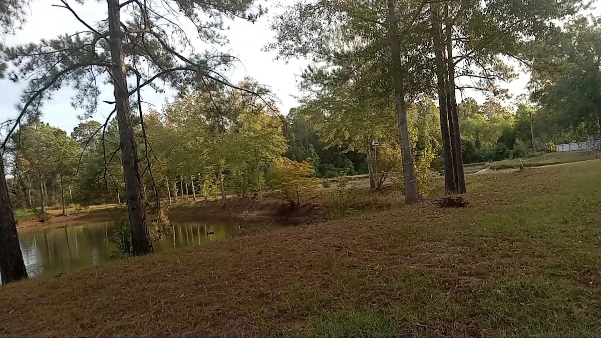 Sugar Sands Campground