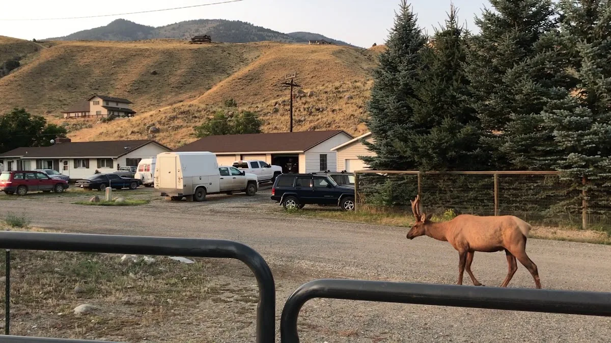 Sun Outdoors Yellowstone North