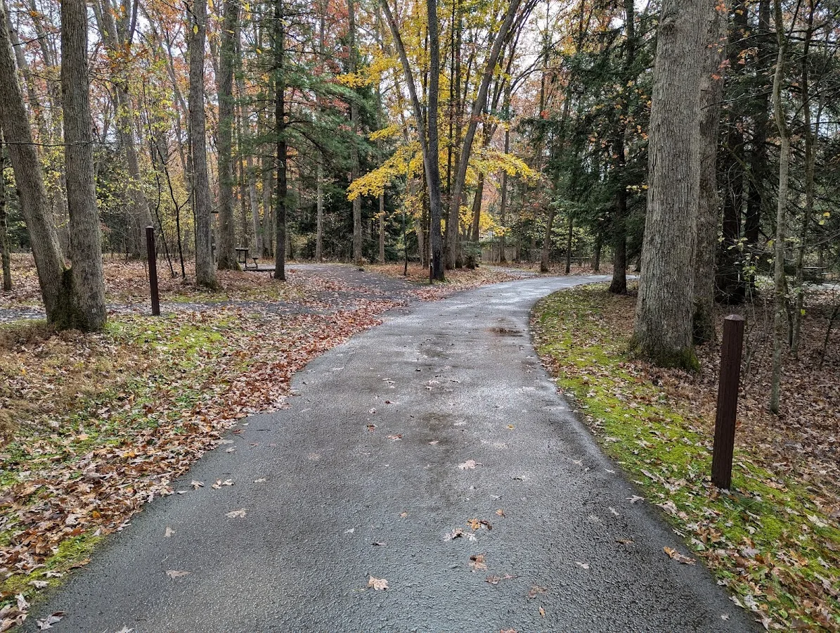 Swallow Falls Campground