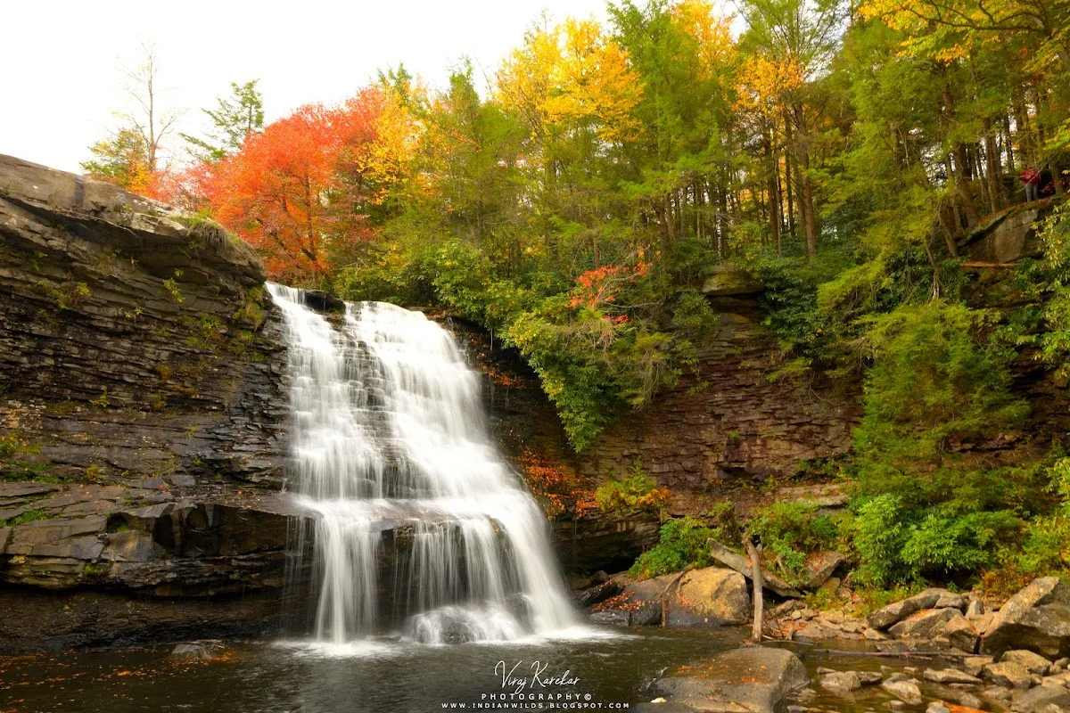 Swallow Falls State Park