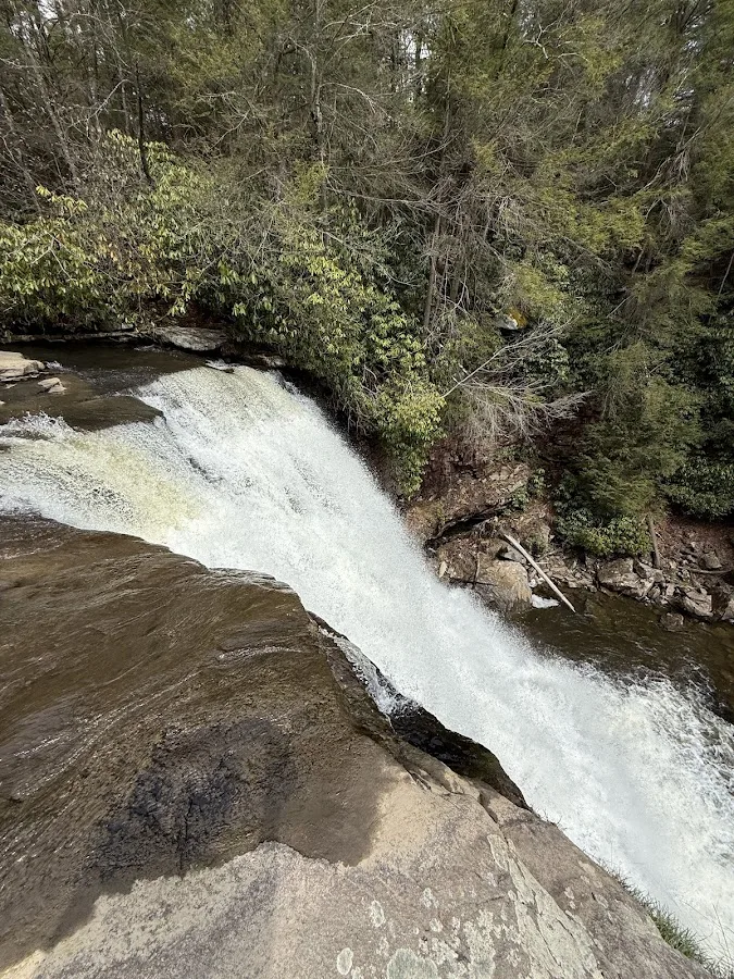 Swallow Falls State Park